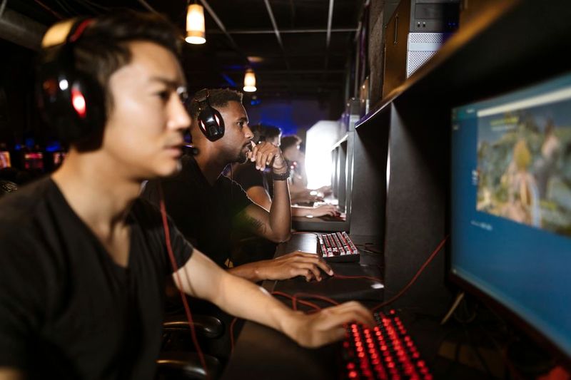 chắn New88